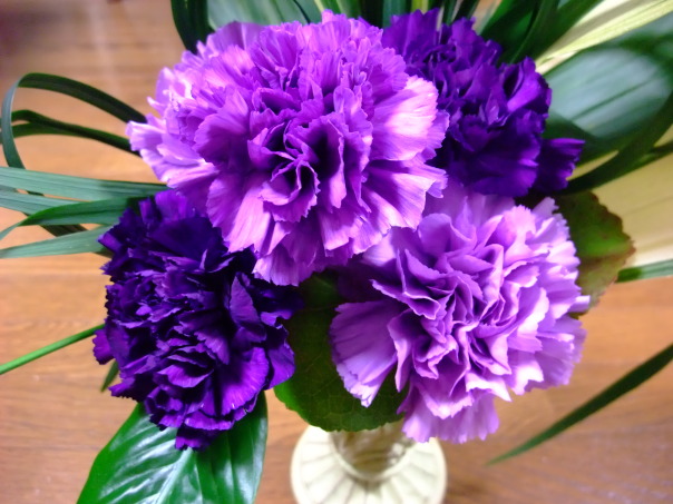 Hoa cẩm chướng màu tím