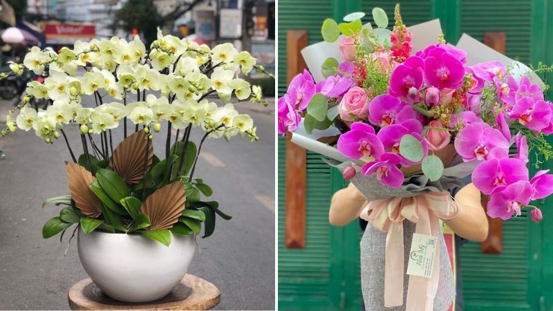 Hoa lan hồ điệp - Ngày Quốc tế Phụ nữ 8-3 tặng hoa gì?