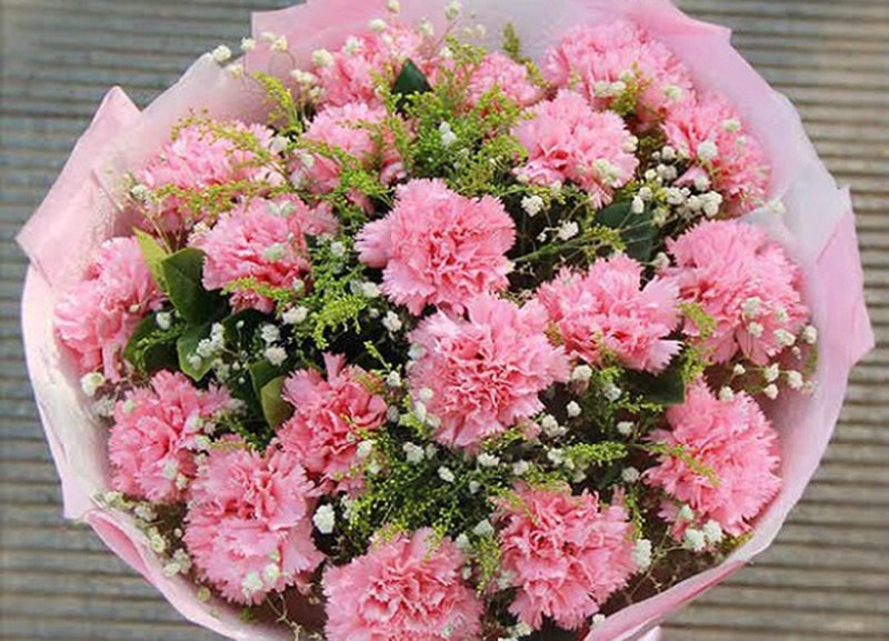 Hoa cẩm chướng trong ngày lễ tình nhân